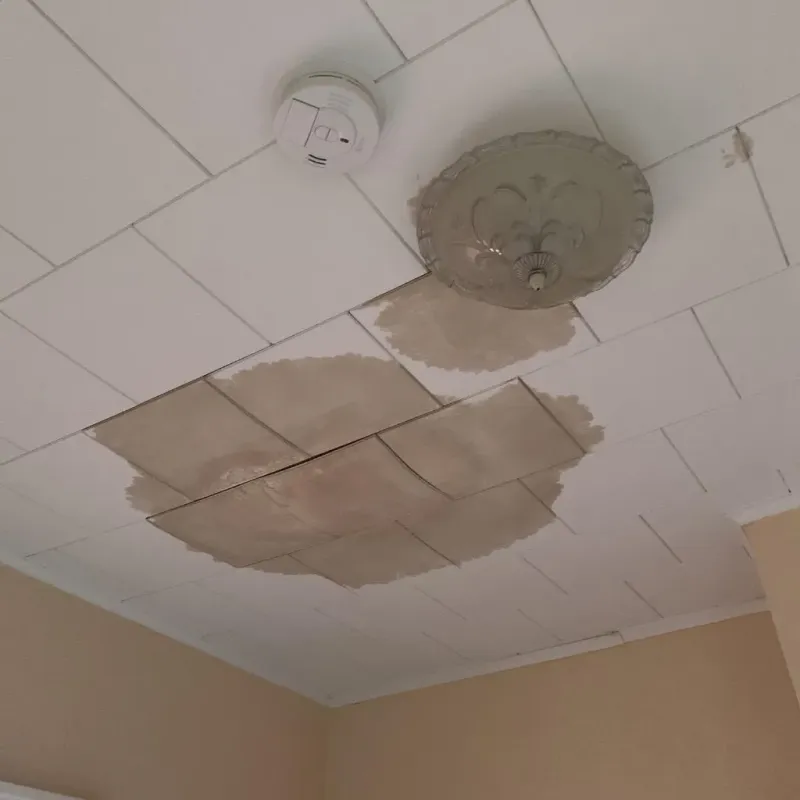 Ceiling Water Damage Repair in Leverett, MA