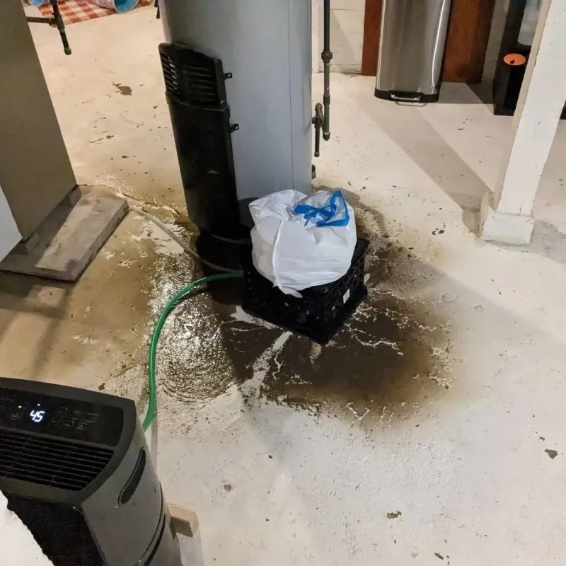 Sewage Backup Cleanup Service in Leverett, MA